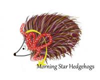 Morning Star Hedgehogs Logo